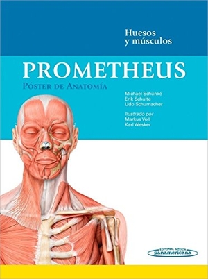 Schünke, Michael / Schulte, Erik et al. Prometheus : póster de anatomía : huesos y músculos. Editorial Médica Panamericana S.A., 2015.