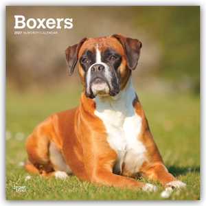 Publishers, Browntrout. Boxers - Boxer 2027 - 16-Monatskalender - Original BrownTrout-Kalender [Mehrsprachig] [Kalender]. Browntrout Verlags GmbH, 2026.
