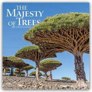 Publishers, Browntrout. The Majesty of Trees - Die Erhabenheit der Bäume 2027 - 16-Monatskalender - Original BrownTrout-Kalender [Mehrsprachig] [Kalender]. Browntrout Verlags GmbH, 2026.