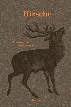Bode, Wilhelm. Hirsche - Ein Portrait. Matthes & Seitz Verlag, 2018.