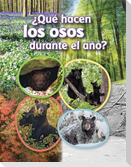 ¿Qué Hacen Los Osos Durante El Año?