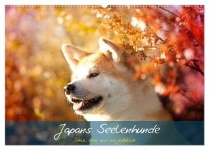 Photography, Tamashinu. Japans Seelenhunde (Wandkalender 2024 DIN A2 quer), CALVENDO Monatskalender - Künstlerische Bilder japanischer Hunderassen. Calvendo, 2023.