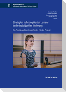 Strategien selbstregulierten Lernens in der Individuellen Förderung