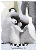 Pinguine. Familienglück im Eis (Wandkalender 2024 DIN A2 hoch), CALVENDO Monatskalender