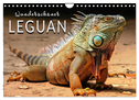 Wunderschöner Leguan (Wandkalender 2025 DIN A4 quer), CALVENDO Monatskalender