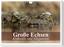 Große Echsen. Krokodile und Alligatoren (Wandkalender 2025 DIN A4 quer), CALVENDO Monatskalender