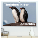 Tierleben in der Antarktis (hochwertiger Premium Wandkalender 2025 DIN A2 quer), Kunstdruck in Hochglanz