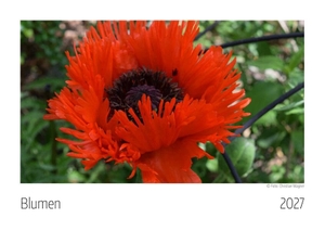 Blumen Kalender 2027. Scantinental Business Age, 2026.
