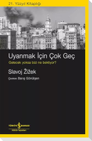 Uyanmak Icin Cok Gec