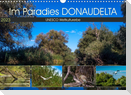 Das Paradies Donaudelta (Wandkalender 2023 DIN A3 quer)