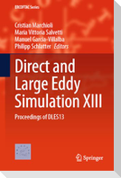 Direct and Large Eddy Simulation XIII