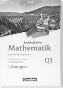 Mathematik  Leistungskurs 3. Halbjahr - Hessen - Band Q3. Lösungen zum Schülerbuch