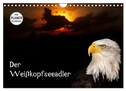 Der Weißkopfseeadler (Wandkalender 2024 DIN A4 quer), CALVENDO Monatskalender