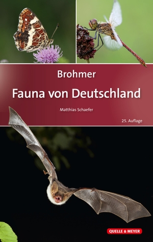 Schaefer, Matthias (Hrsg.). Brohmer - Fauna von Deutschland - Ein Bestimmungsbuch unserer heimischen Tierwelt. Quelle + Meyer, 2018.