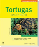 Tortugas : sanas y felices