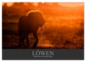 Löwen Wildlife-Fotografien (Wandkalender 2024 DIN A2 quer), CALVENDO Monatskalender