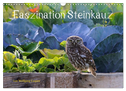 Faszination Steinkauz (Wandkalender 2024 DIN A3 quer), CALVENDO Monatskalender