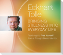 Bringing Stillness Into Everyday Life: Teachings to Free Yourself from a Thought-Based Identity