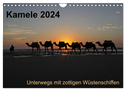 Kamele 2024 - Unterwegs mit zottigen Wüstenschiffen (Wandkalender 2024 DIN A4 quer), CALVENDO Monatskalender
