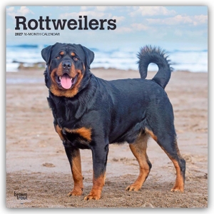 Publishers, Browntrout. Rottweilers - Rottweiler 2027 - 16-Monatskalender - Original BrownTrout-Kalender [Mehrsprachig] [Kalender]. Browntrout Verlags GmbH, 2026.