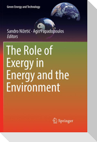 The Role of Exergy in Energy and the Environment