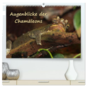 Augenblicke der Chamäleons (hochwertiger Premium Wandkalender 2024 DIN A2 quer), Kunstdruck in Hochglanz