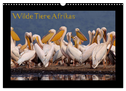 Wilde Tiere Afrikas (Wandkalender 2024 DIN A3 quer), CALVENDO Monatskalender