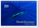Pilotwale Unterwasser - Globicephala macrorhynchus (Tischkalender 2024 DIN A5 quer), CALVENDO Monatskalender