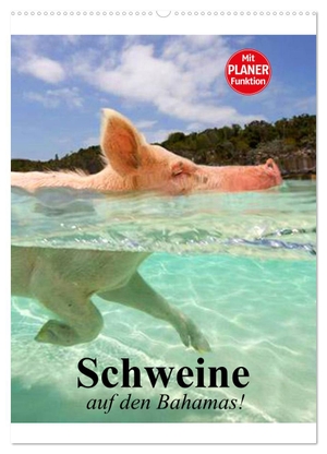 Stanzer, Elisabeth. Schweine auf den Bahamas! (Wandkalender 2024 DIN A2 hoch), CALVENDO Monatskalender - Schwimmende Schweine im Dauerurlaub auf den Bahamas. Calvendo, 2023.