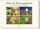 Pilze & Schwammerln (Wandkalender 2023 DIN A3 quer)