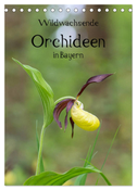 Wildwachsende Orchideen in Bayern (Tischkalender 2024 DIN A5 hoch), CALVENDO Monatskalender