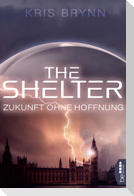 The Shelter - Zukunft ohne Hoffnung