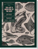 Sea-life & Monsters of the Deep