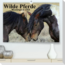 Wilde Pferde . Mustangs in USA (Premium, hochwertiger DIN A2 Wandkalender 2022, Kunstdruck in Hochglanz)