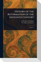 History of the Reformation of the Sixteenth Century