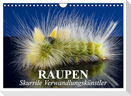 Raupen - Skurrile Verwandlungskünstler (Wandkalender 2025 DIN A4 quer), CALVENDO Monatskalender