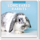 Long Eared Rabbits - Langohrhasen 2027 - 16-Monatskalender