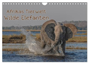 Afrikas Tierwelt - Wilde Elefanten (Wandkalender 2024 DIN A4 quer), CALVENDO Monatskalender