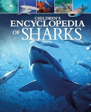 Martin. Children's Encyclopedia of Sharks. Arcturus Publishing, 2022.