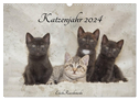 Katzenjahr 2024 (Wandkalender 2024 DIN A3 quer), CALVENDO Monatskalender