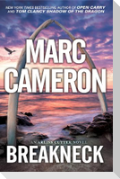 Breakneck