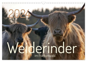 Kelle-Dingel, Cordula. Weiderinder im Frankenwald (Wandkalender 2024 DIN A3 quer), CALVENDO Monatskalender - Momentaufnahmen und Porträts von Rindern auf der Weide. Calvendo, 2023.