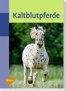 Kaltblutpferde