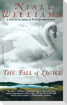 The Fall of Light