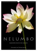 N E L U M B O ¿ Zauberhafte Ansichten der Lotosblüte (Wandkalender 2025 DIN A3 hoch), CALVENDO Monatskalender