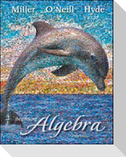 Beginning Algebra