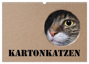 Nilson, Thorsten. Karton Katzen (Wandkalender 2024 DIN A3 quer), CALVENDO Monatskalender - Lustige Katzen begleiten Sie das ganze Jahr.. Calvendo, 2023.