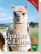 Alpakas & Lamas
