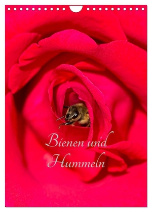 Bangert, Mark. Bienen und Hummeln (Wandkalender 2024 DIN A4 hoch), CALVENDO Monatskalender - Bienen und Hummeln für das ganze Jahr. Calvendo Verlag, 2023.