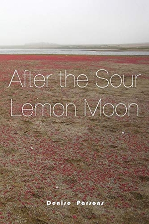 Parsons, Denise O. After the Sour Lemon Moon. Denise Parsons, 2014.